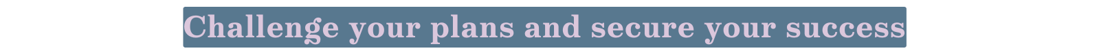 Challenge your plans and secure your success