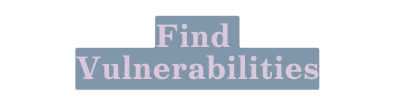 Find Vulnerabilities